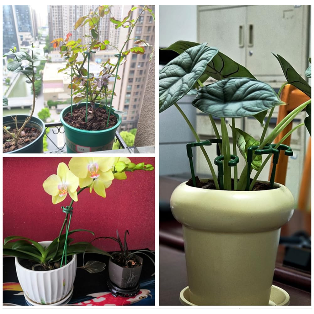 EZ LIVING 15 PCS Plant Support Sticks Climbing Plant Supporters Flower Support Stick Garden Sticks for Plants