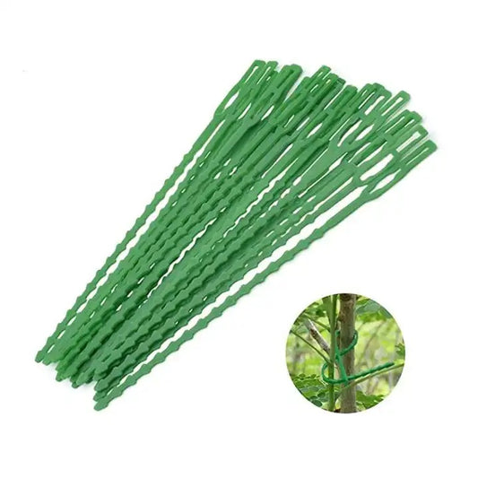 EZ LIVING 60pcs green color plant support stick for climbers plat climbing clip for plant holder to garden Creative Ways to Use Plant Support Sticks in Your Garden Choosing and Using Plant Climbing Wall Clips