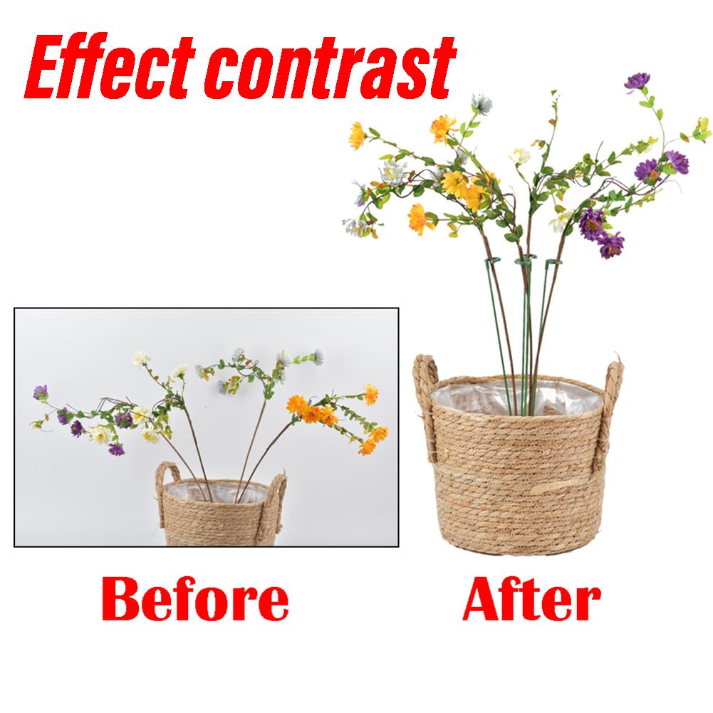 EZ LIVING 15 PCS Plant Support Sticks Climbing Plant Supporters Flower Support Stick Garden Sticks for Plants