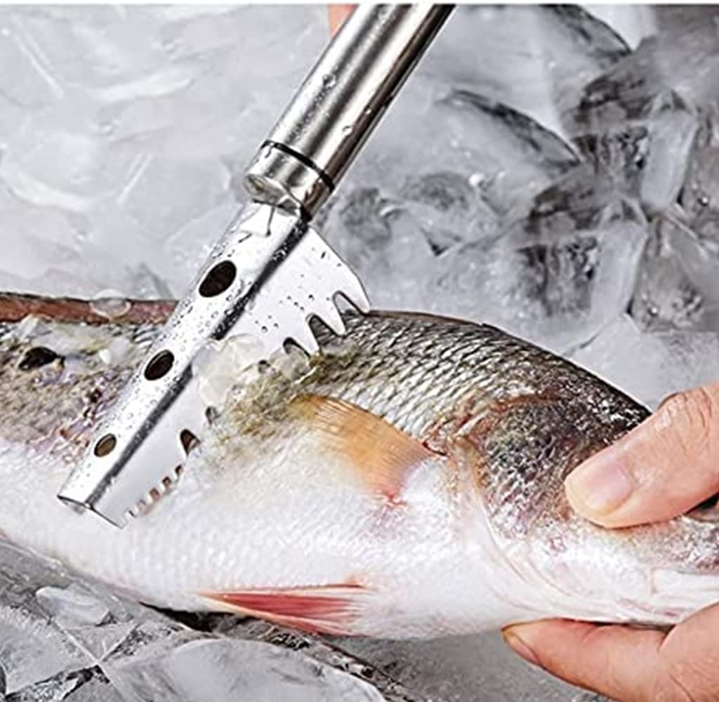 EZ LIVING 2PCS Fish Scale Remover Scraper Cleaning Tools Skin Remover Stainless Steel Sawtooth Brush Machine for Kitchen Scaler Cutting Knife